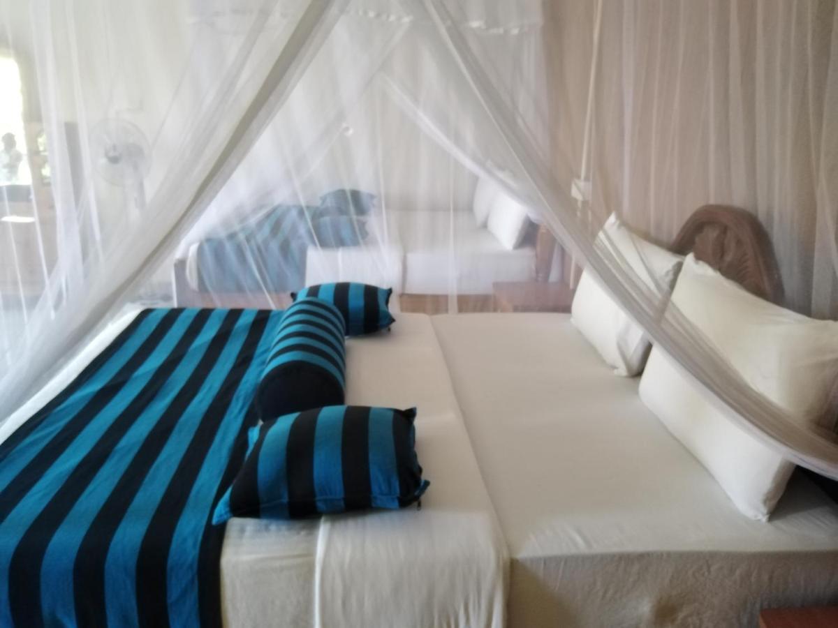 Blue Ribbon Homestay เอลลา ภายนอก รูปภาพ