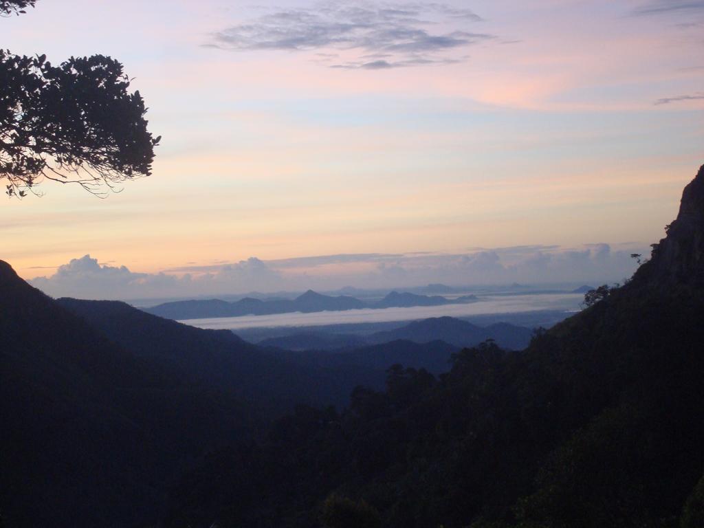 Blue Ribbon Homestay เอลลา ภายนอก รูปภาพ