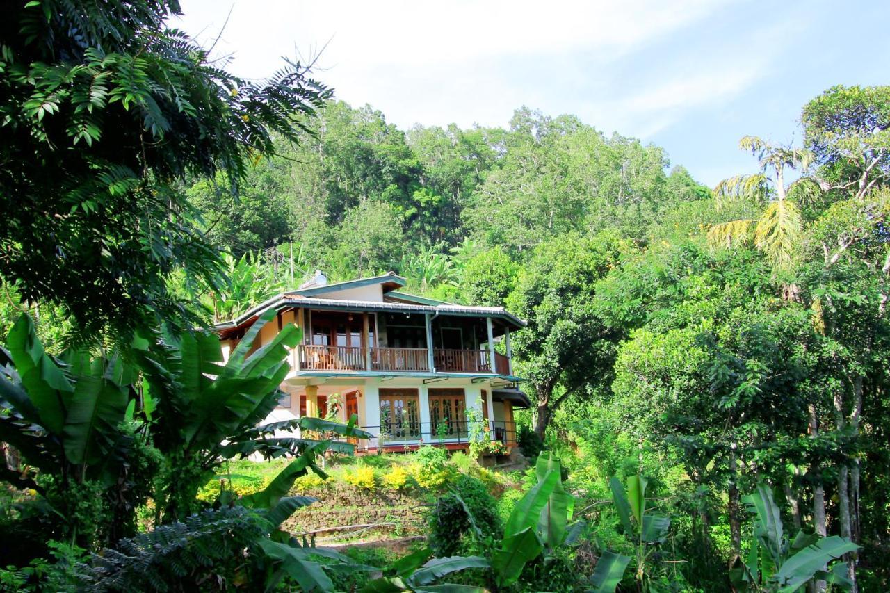 Blue Ribbon Homestay เอลลา ภายนอก รูปภาพ